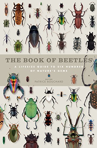 9781782400493: The Book of Beetles: A Life-Size Guide to Six Hundred of Nature's Gems