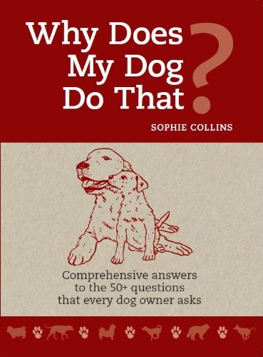 Beispielbild fr Why Does My Dog do that?: Comprehensive answers to the 50+ questions that every dog owner asks zum Verkauf von WorldofBooks