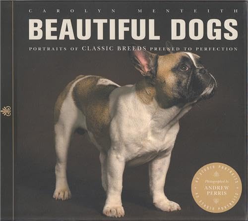 Beispielbild fr Beautiful Dogs: Portraits of Champion Breeds Preened to Perfection zum Verkauf von Reuseabook