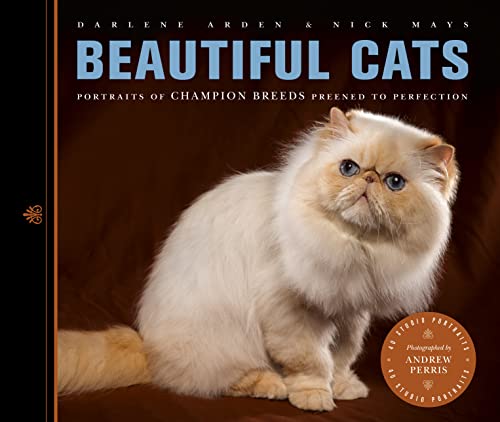 Beispielbild fr Beautiful Cats: Portraits of Champion Breeds Preened to Perfection zum Verkauf von medimops