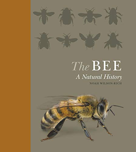 9781782401070: The Bee: A Natural History