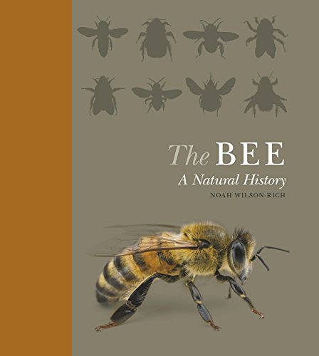 Stock image for The Bee: A Natural History for sale by Strawberry Hill Books