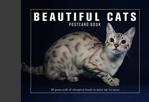 9781782401650: Beautiful Cats Postcard Book (Beautiful Animals)