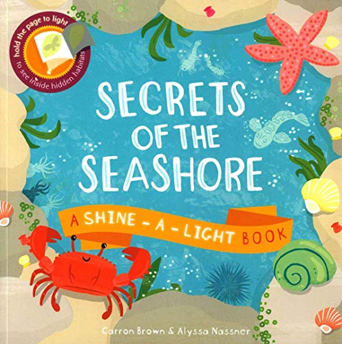 Beispielbild fr SECRETS OF THE SEASHORE /ANGLAIS zum Verkauf von HPB-Movies