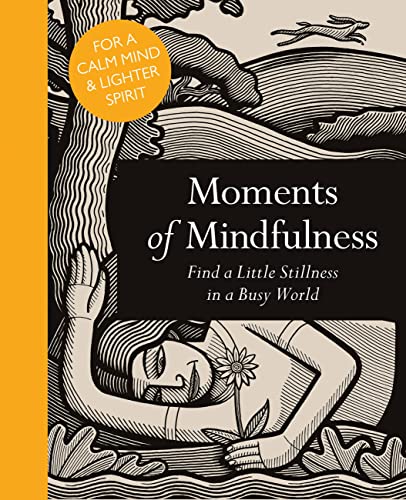 Beispielbild fr Moments of Mindfulness: Find a Little Stillness in a Busy World (Mindfulness series) zum Verkauf von WorldofBooks