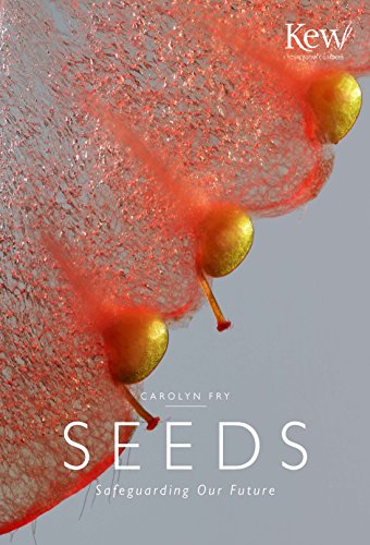 Beispielbild fr Seeds: Safeguarding Our Future zum Verkauf von HPB-Red