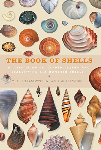 9781782403562: The book of shells