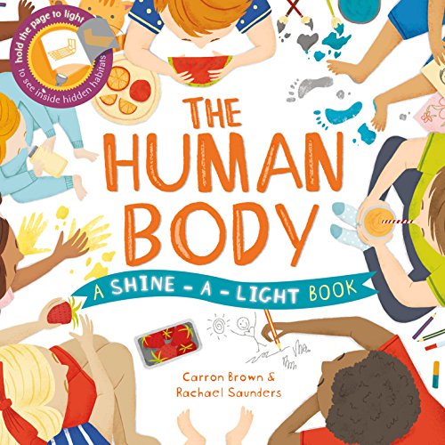 Imagen de archivo de The Human Body a la venta por WorldofBooks