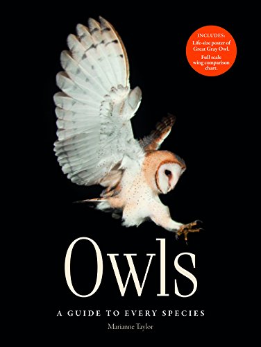 9781782404040: Owls: A guide to every species