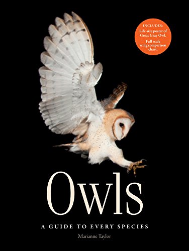 Stock image for Owls: A guide to every species for sale by Mispah books