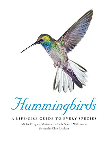 Beispielbild fr Hummingbirds A Life-Size Guide to Every Species /anglais zum Verkauf von Books From California