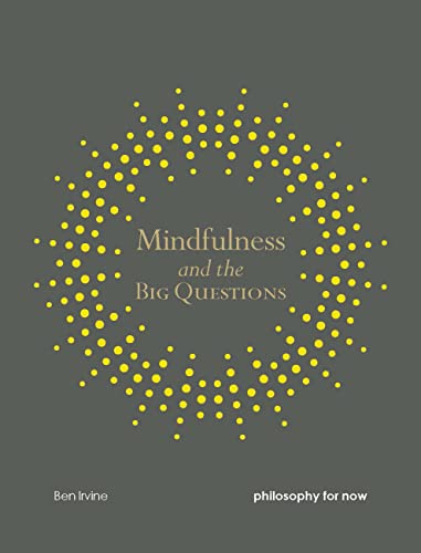 Stock image for Mindfulness and the Big Questions: Philosophy for now (Mindfulness series) for sale by SecondSale