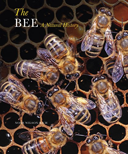 Beispielbild fr The Bee: A Natural History zum Verkauf von Brit Books