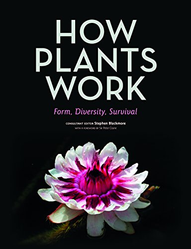 Stock image for How Plants Work: Form, Diversity, Survival for sale by AwesomeBooks