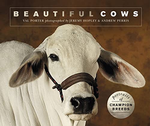 Beispielbild fr Beautiful Cows: Portraits of champion breeds (Beautiful Animals) zum Verkauf von WorldofBooks
