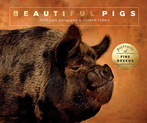 Stock image for Beautiful Pigs: Portraits of champion breeds (Beautiful Animals) for sale by HPB-Movies