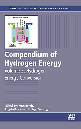 Stock image for Compendium of Hydrogen Energy: Hydrogen Energy Conversion Volume 3 (Woodhead Publishing Series in Energy) for sale by Brook Bookstore On Demand