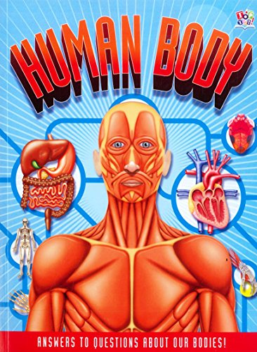 Imagen de archivo de The Human Body - Answers To Questions About Our Bodies! a la venta por AwesomeBooks