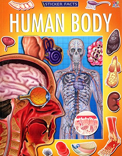 Beispielbild fr Sticker Facts: Human Body zum Verkauf von WorldofBooks