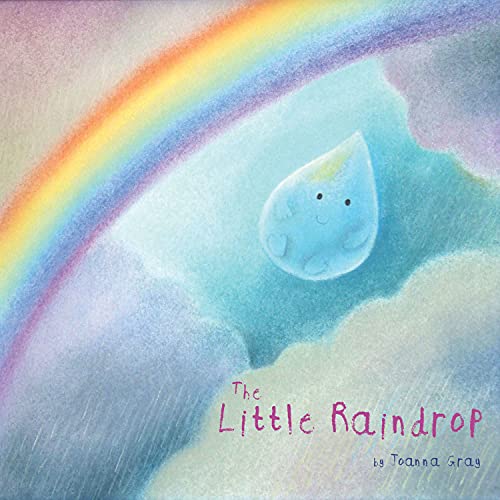 Beispielbild fr The Little Raindrop (Picture Storybooks) zum Verkauf von AwesomeBooks