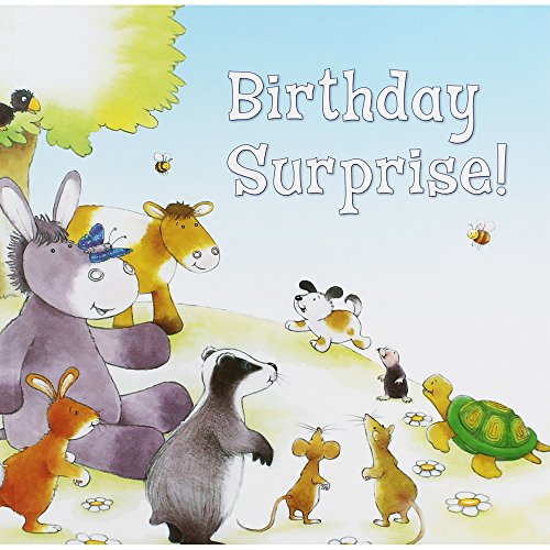 Beispielbild fr Milo Ferreira Birthday Surprise zum Verkauf von WorldofBooks