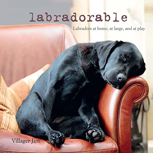 Stock image for Labradorable: Labradors at home, at large, and at play for sale by WorldofBooks