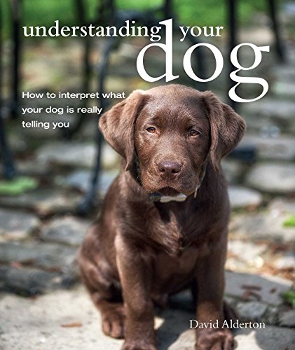 Stock image for Understanding Your Dog: How to interpret what your dog is really telling you for sale by WorldofBooks