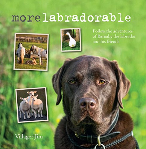 Beispielbild fr Morelabradorable: Follow the adventures of Barnaby the labrador and his friends zum Verkauf von SecondSale