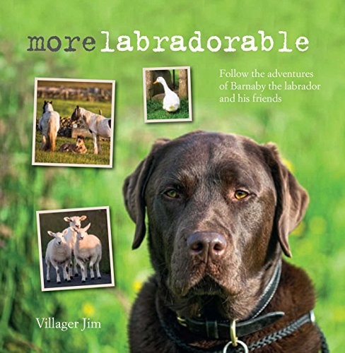 Stock image for Morelabradorable: Follow the adventures of Barnaby the labrador and his friends for sale by SecondSale