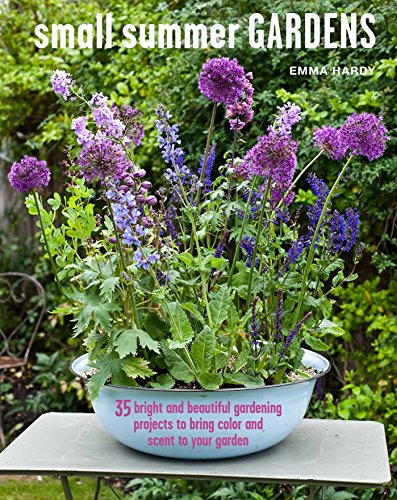 Beispielbild fr Small Summer Gardens: 35 bright and beautiful gardening projects to bring color and scent to your garden zum Verkauf von WorldofBooks