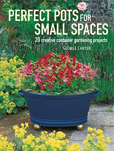 Beispielbild fr Perfect Pots for Small Spaces: 20 creative container gardening projects zum Verkauf von WorldofBooks
