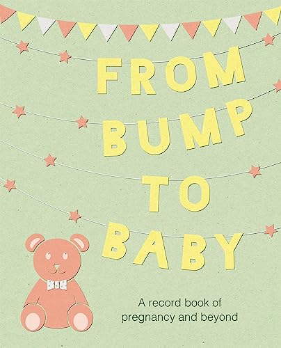Beispielbild fr From Bump to Baby: A record book of pregnancy and beyond zum Verkauf von AwesomeBooks