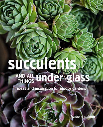 Beispielbild fr Succulents and All things Under Glass: Ideas and inspiration for indoor gardens zum Verkauf von BooksRun