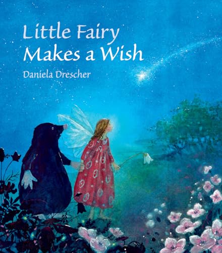 Beispielbild fr Little Fairy Makes a Wish zum Verkauf von SecondSale