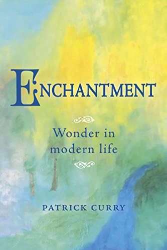 Beispielbild fr Enchantment: Wonder in Modern Life zum Verkauf von Monster Bookshop