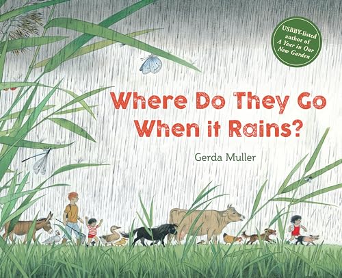 Stock image for Where Do They Go When It Rains? for sale by Books-FYI, Inc.