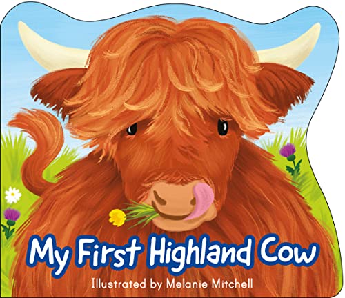 Beispielbild fr My First Highland Cow (Picture Kelpies) zum Verkauf von WorldofBooks