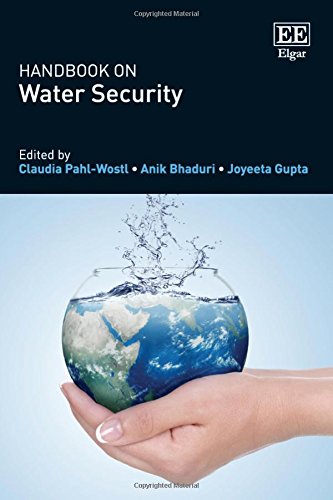 9781782548003: Handbook on Water Security