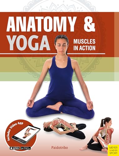 Stock image for Anatomy & Yoga: Muscles in Action for sale by Booksavers of Virginia