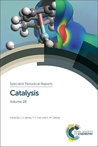 Stock image for Catalysis: Vol 28 for sale by Revaluation Books