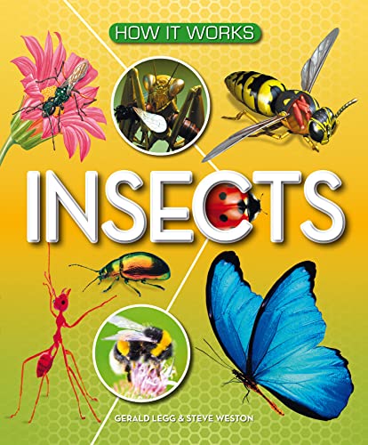 Stock image for How It Works: Insects for sale by GreatBookPrices