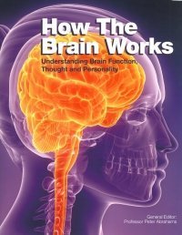 Beispielbild fr How The Brain Works zum Verkauf von Better World Books