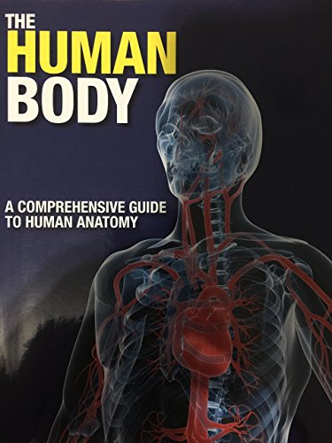 Beispielbild fr The Human Body: A Comprehensive Guide to Human Anatomy zum Verkauf von ThriftBooks-Dallas