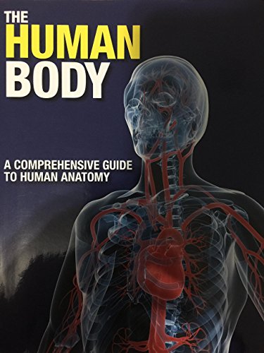 Imagen de archivo de The Human Body: A Comprehensive Guide to Human Anatomy a la venta por ThriftBooks-Atlanta