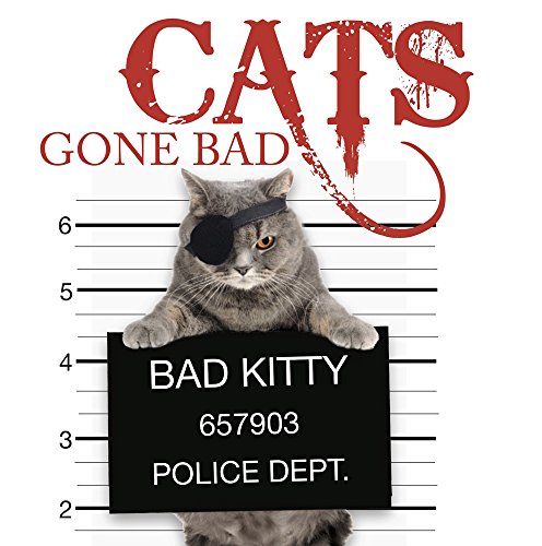 Stock image for Cats Gone Bad for sale by SecondSale