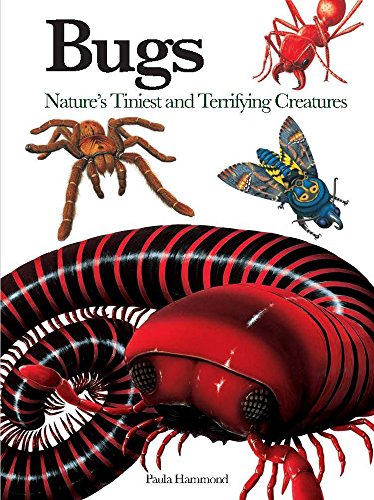 Beispielbild fr Bugs : Nature's Tiniest and Terrifying Creatures zum Verkauf von Better World Books