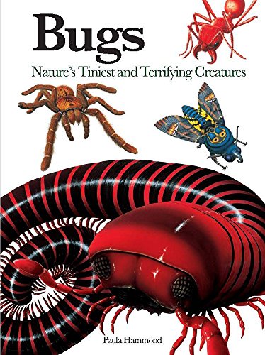 Stock image for Bugs : Nature's Tiniest and Terrifying Creatures for sale by Better World Books