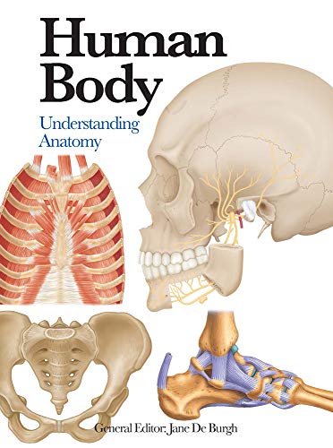 Beispielbild fr Human Body: Understanding Anatomy (Mini Encyclopedia) zum Verkauf von SecondSale