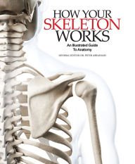 Beispielbild fr How Your Skeleton Works zum Verkauf von Wonder Book