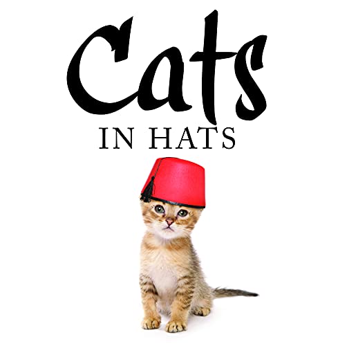 Beispielbild fr Cats in Hats zum Verkauf von WorldofBooks